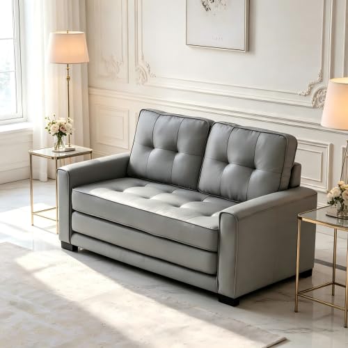Convertible Futon Sofa Bed T438