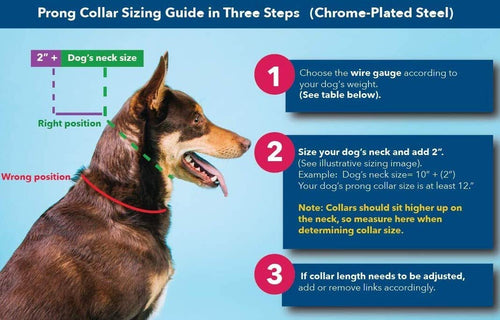 2.25mm Adjustable Prong Dog Collar J344049