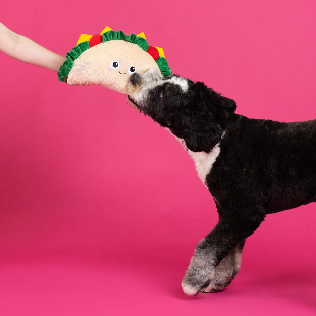 Large Plush Dog Toy Y832492