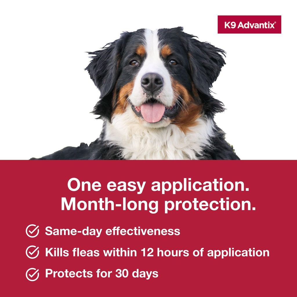 Flea, Tick & Mosquito Prevention for Dogs Over 55 lbs, 2 Treatments L759582