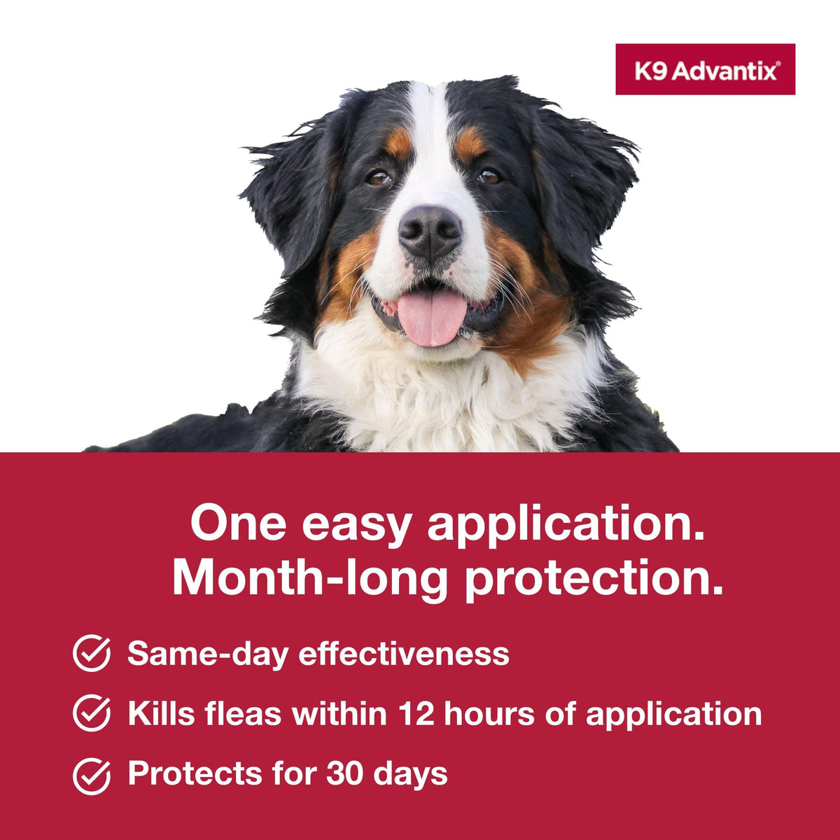 Flea, Tick & Mosquito Prevention for Dogs Over 55 lbs, 2 Treatments L759582