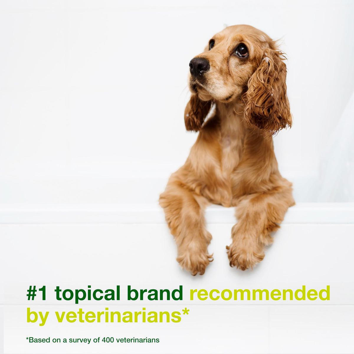 Dog Seboregulating Shampoo 6.7 fl oz A519575