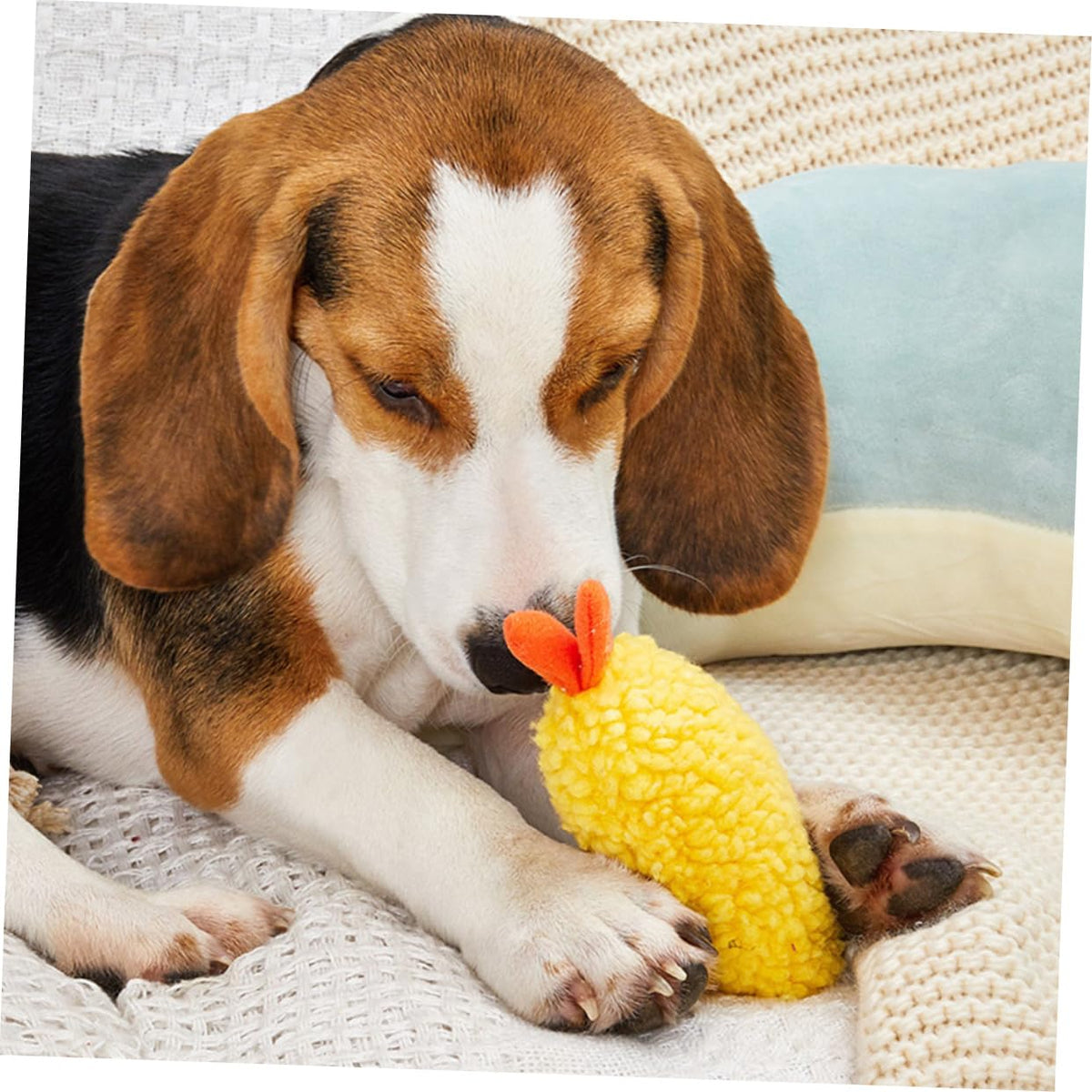 2 Pack Plush Squeaky Dog Toy I825354