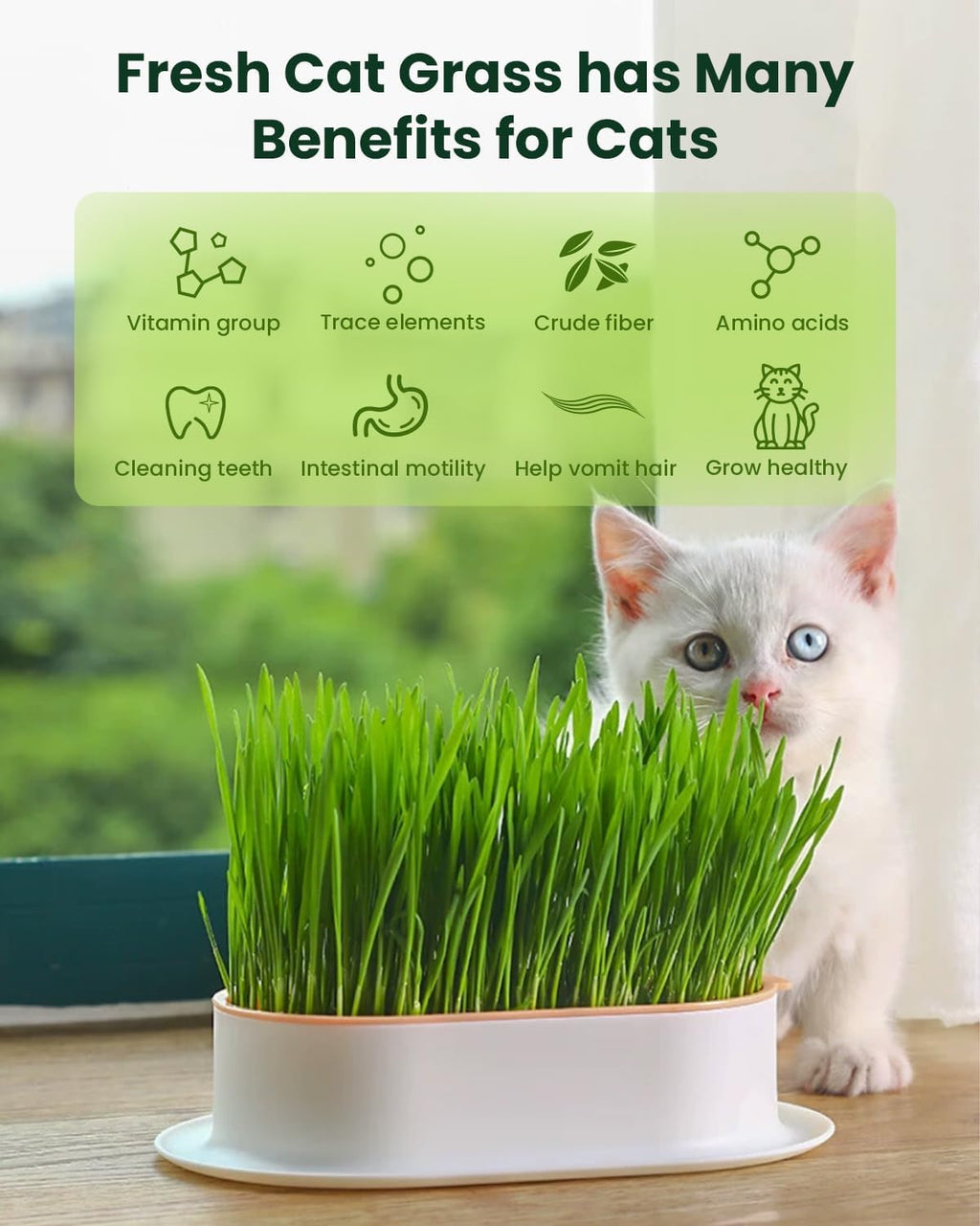 Cat Grass Growing Kit with Wheat Seeds, BPA-Free Planter & Soil, 3 Pack Y567