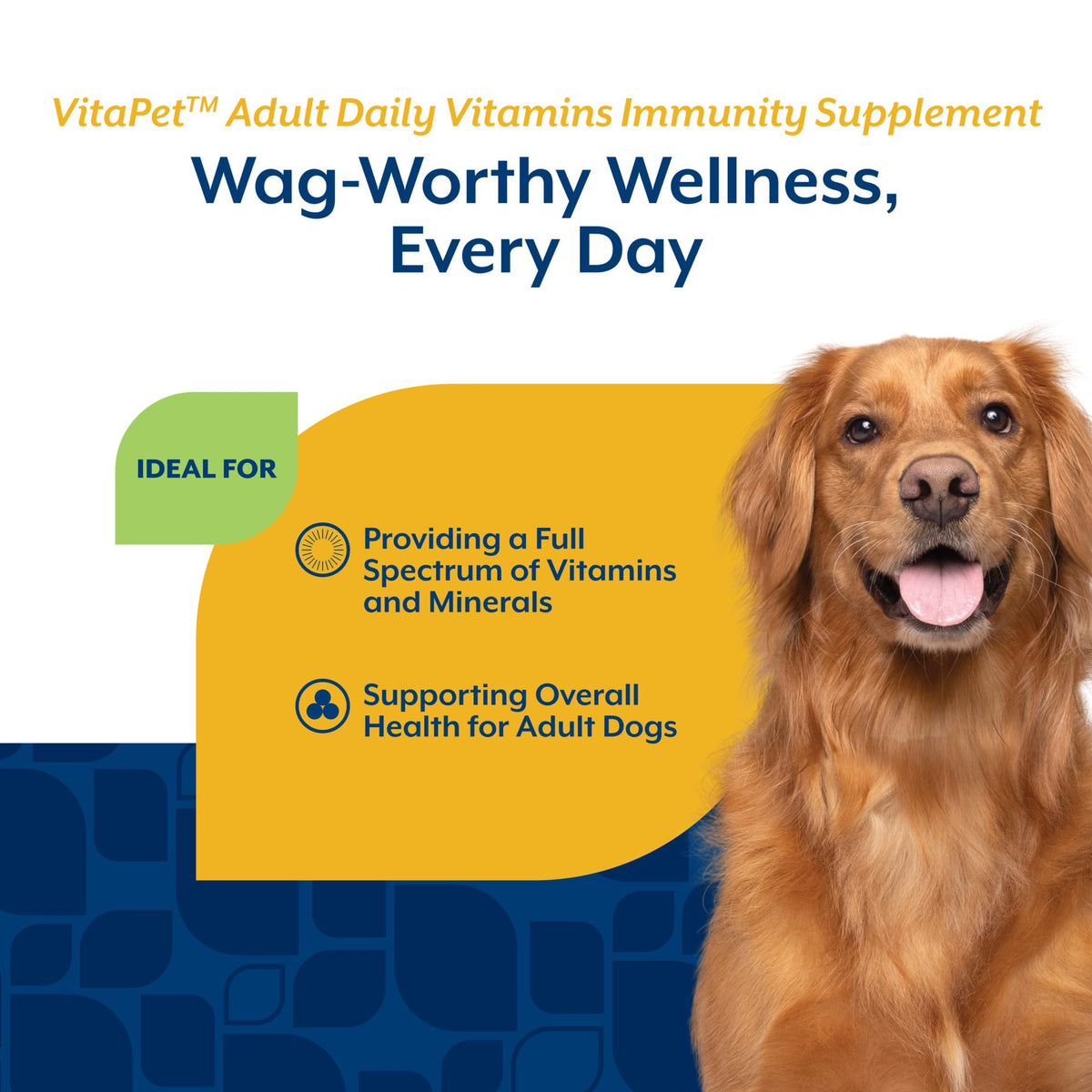 Adult Daily Vitamins with Breath Aid for Dogs 60 Ct P78390
