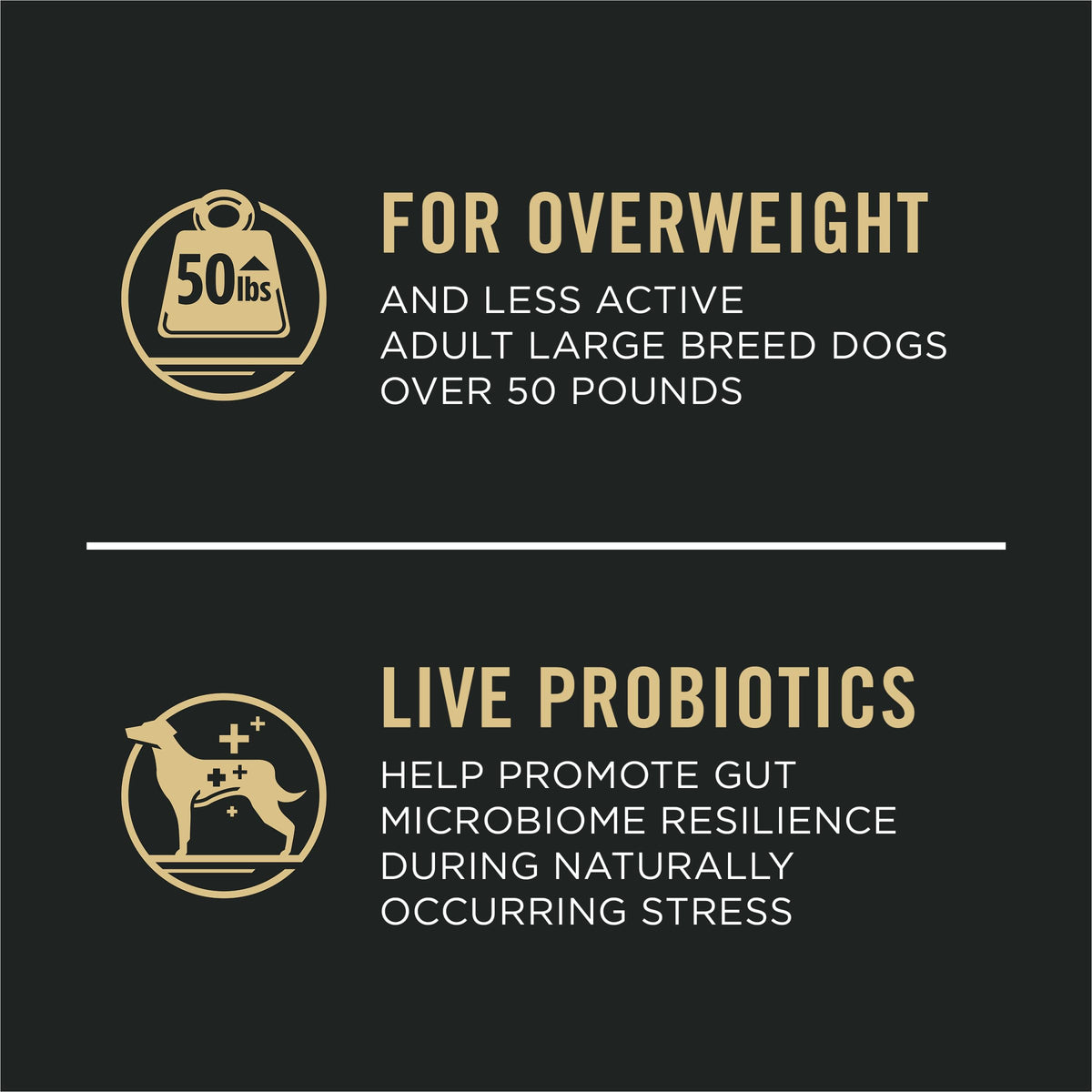 Weight Management Large Breed Dog Food Chicken 34 lb Bag B154