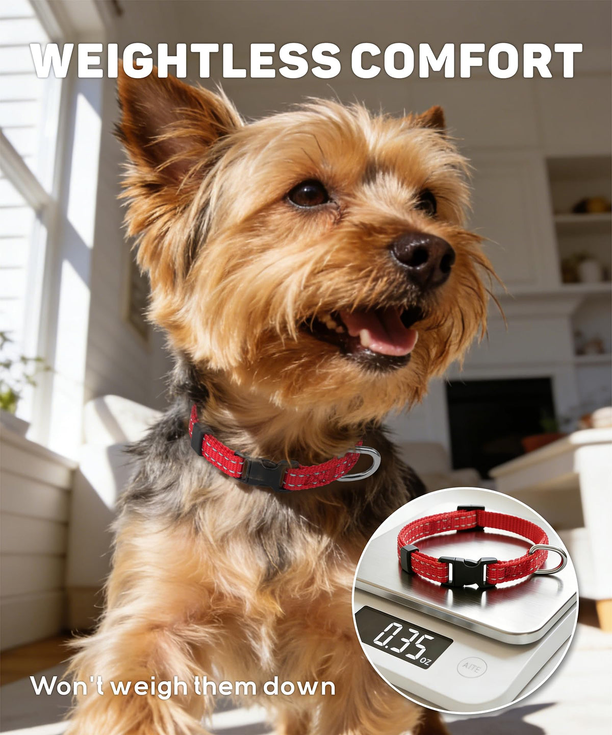 Reflective Small Dog Collar Z600