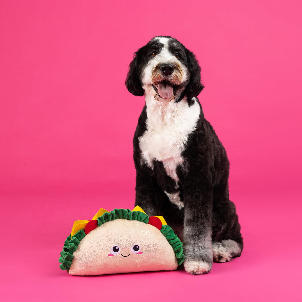 Large Plush Dog Toy Y832492