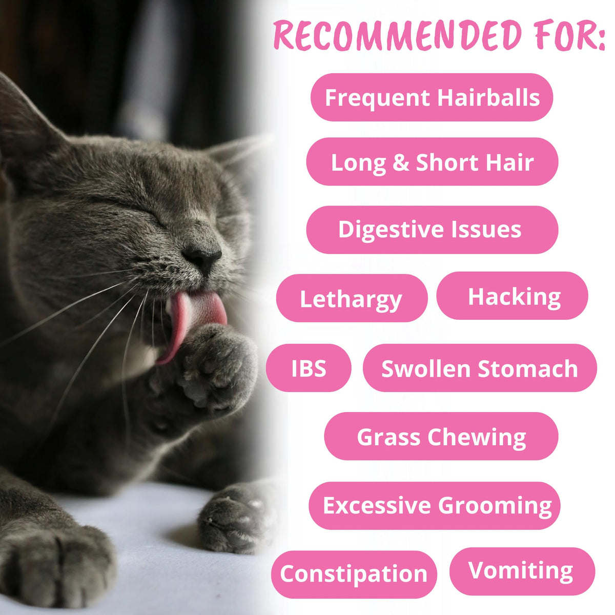 Star Shaped Soft Chews for Cats M6363