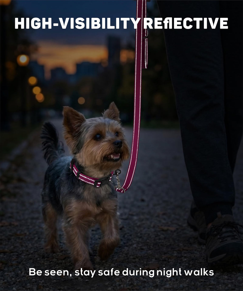 Reflective Small Dog Collar Z600