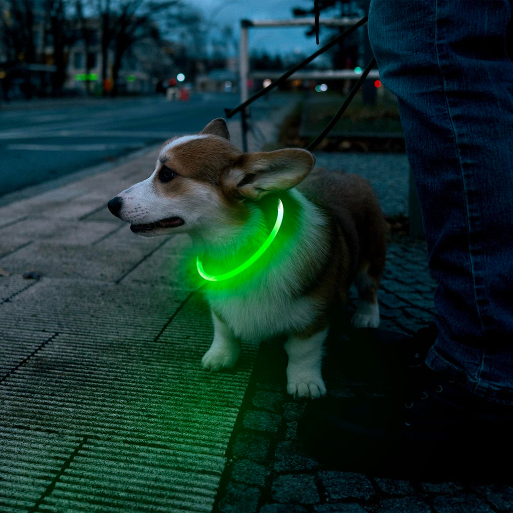 LED Dog Collar USB Rechargeable Green C97490