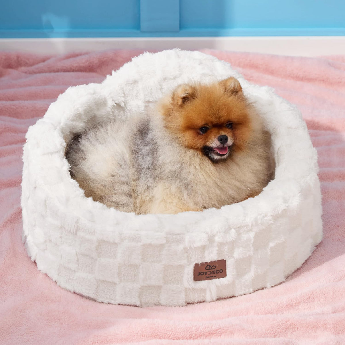 Washable Dog Bed with Orthopedic Foam White L109