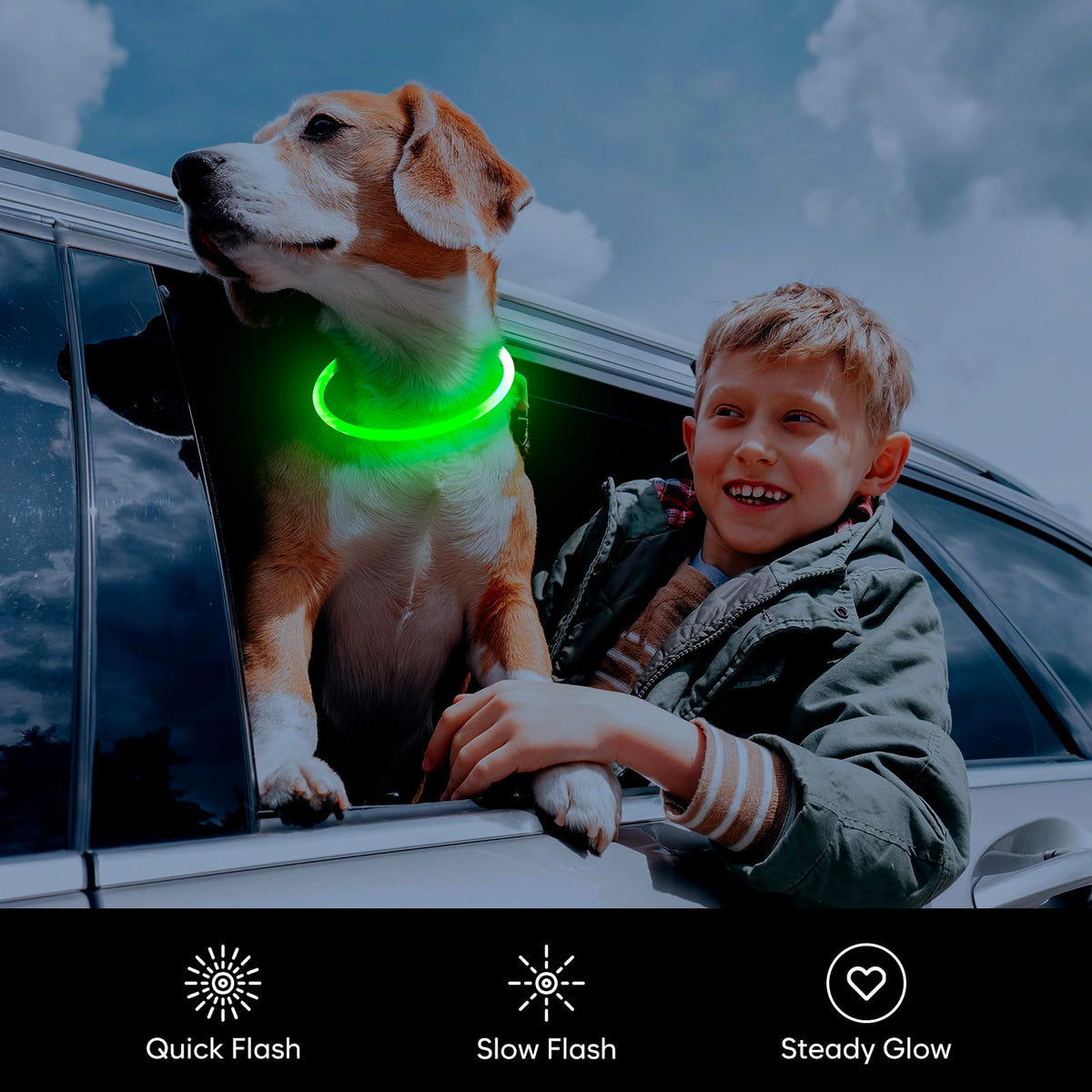 LED Dog Collar USB Rechargeable Green C97490