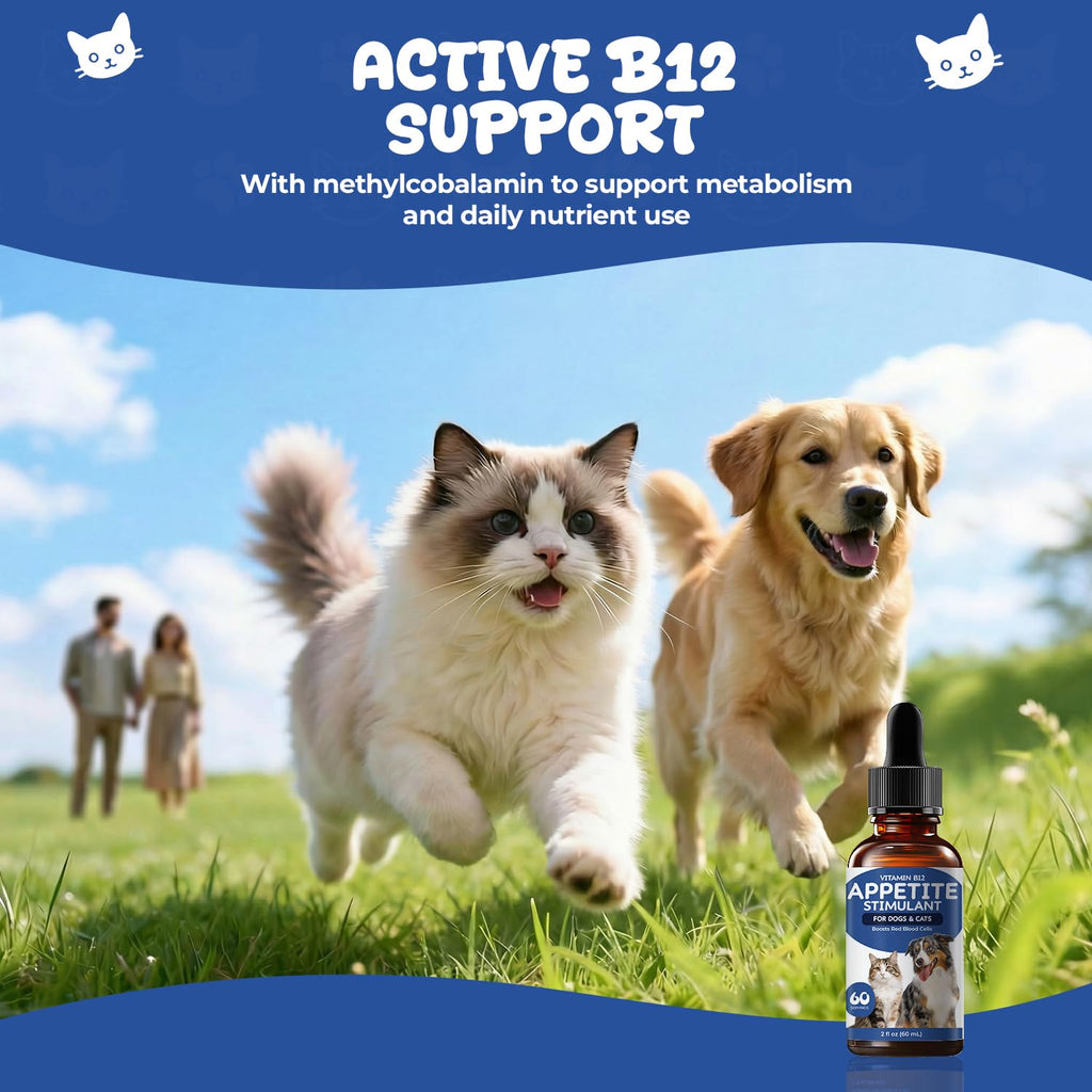 Vitamin B12 Drops with Methylcobalamin U828547