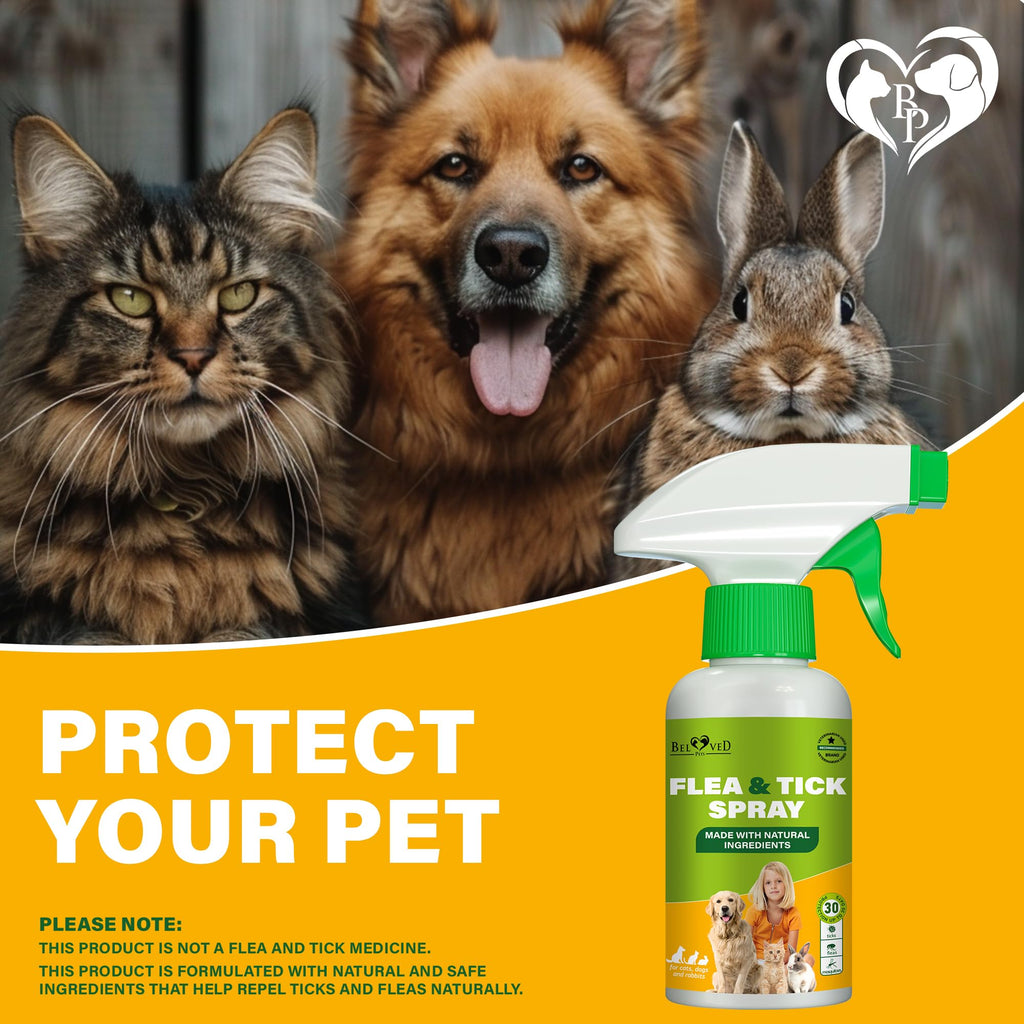 Natural Flea and Tick Home Spray B522107