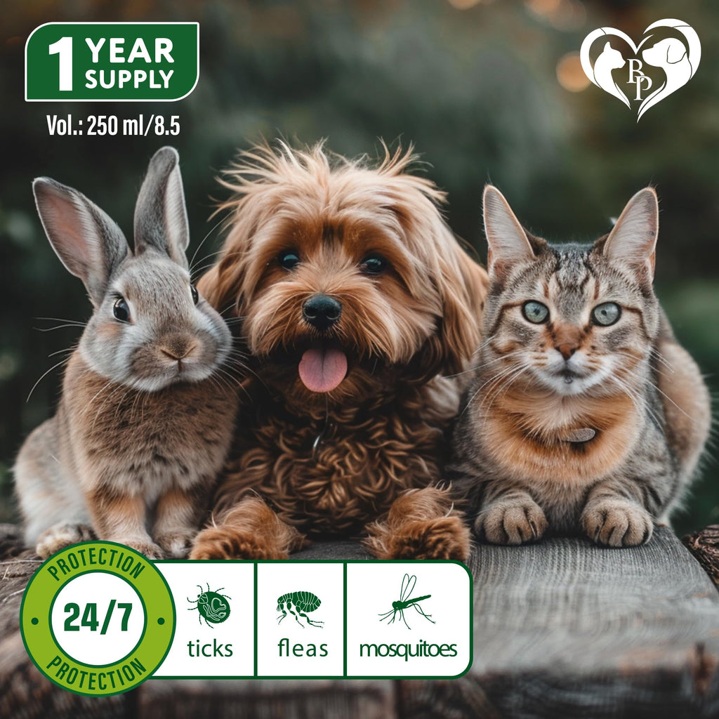 Natural Flea and Tick Home Spray B522107