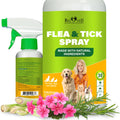 Natural Flea and Tick Home Spray B522107