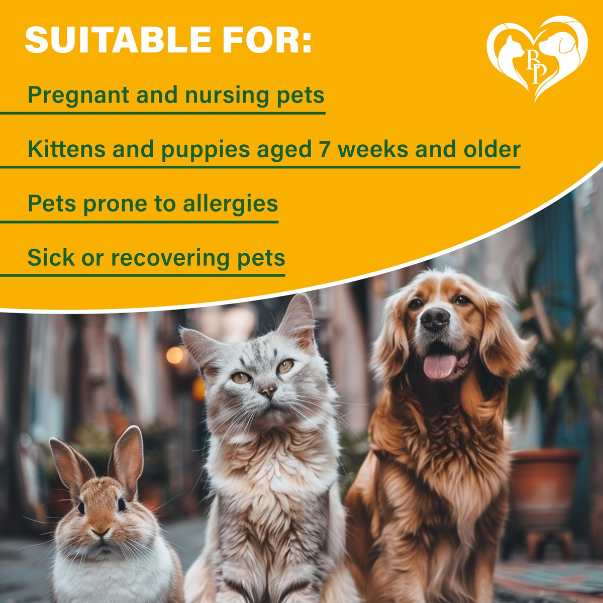 Natural Flea and Tick Home Spray B522107