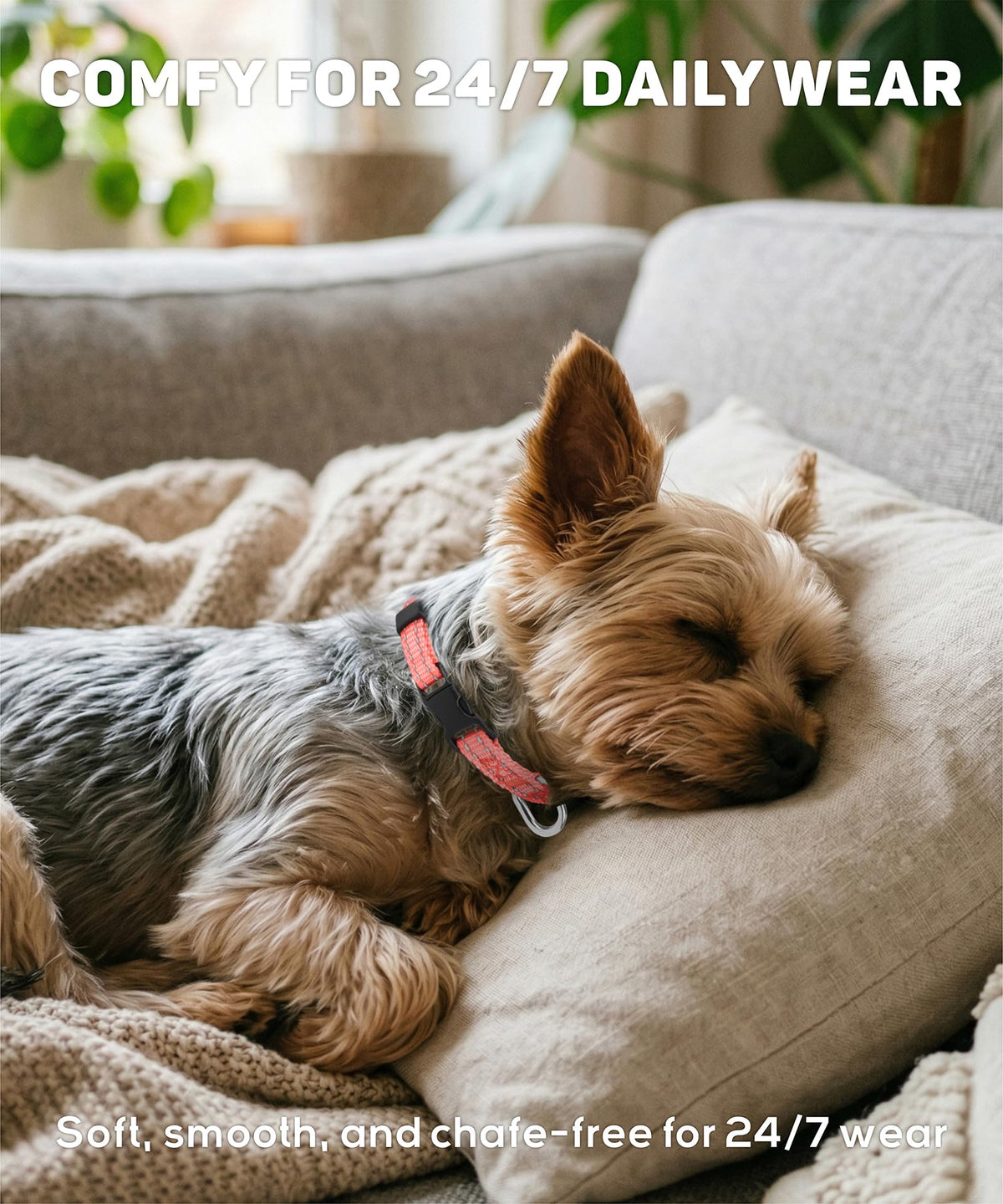 Reflective Small Dog Collar Z600