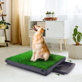 Dog Grass Pad with Tray Z42273