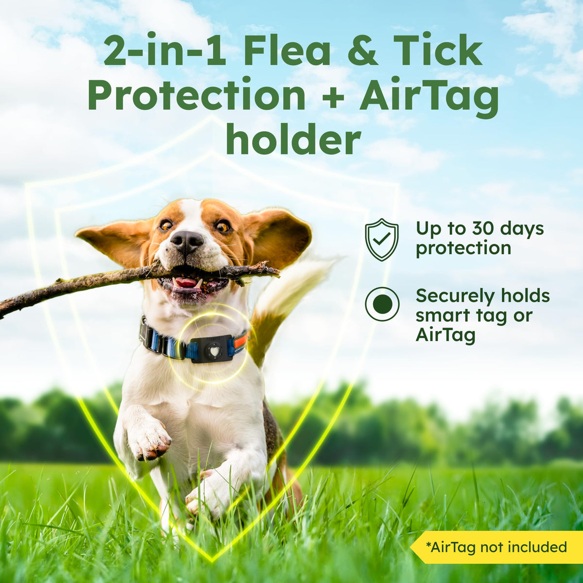 Flea and Tick Prevention Pendant for Dogs T89542