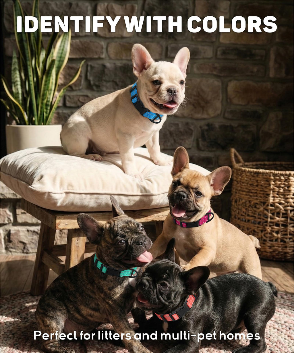 Reflective Small Dog Collar Z600