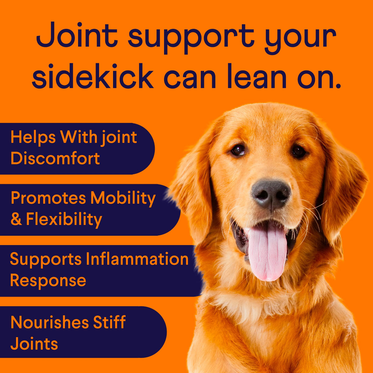 Hip & Joint Chews for Dogs, 90 Ct D44261