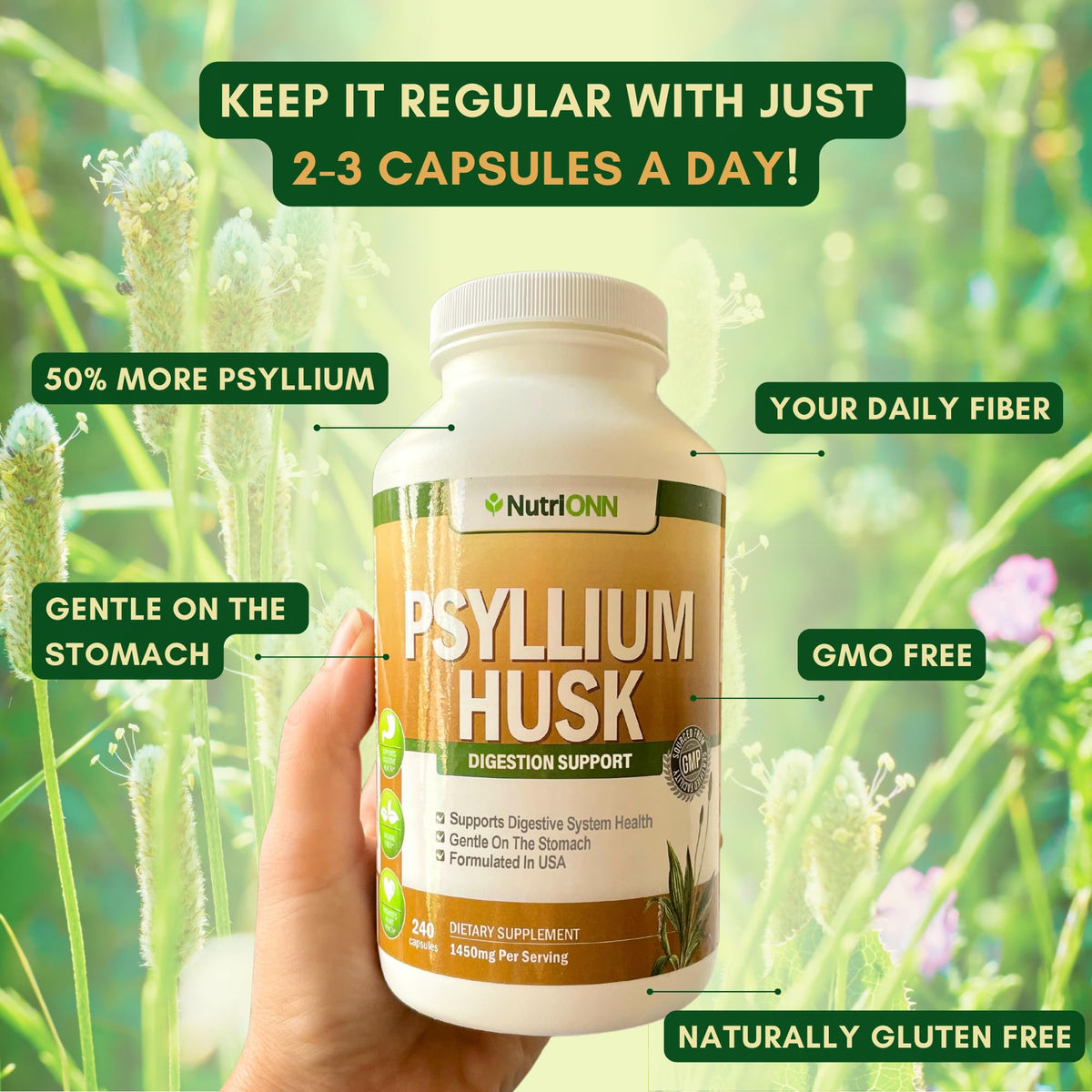 1450mg 240 Capsules Psyllium Husk Fiber Supplement C2094