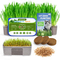 Cat Grass Growing Kit with Wheat Seeds, BPA-Free Planter & Soil, 3 Pack Y567