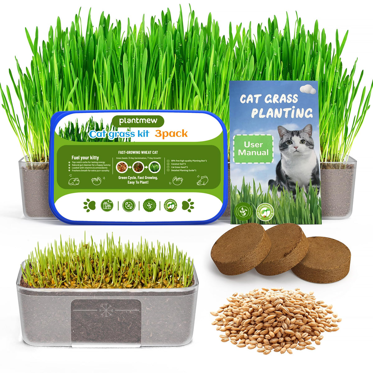 Cat Grass Growing Kit with Wheat Seeds, BPA-Free Planter & Soil, 3 Pack Y567