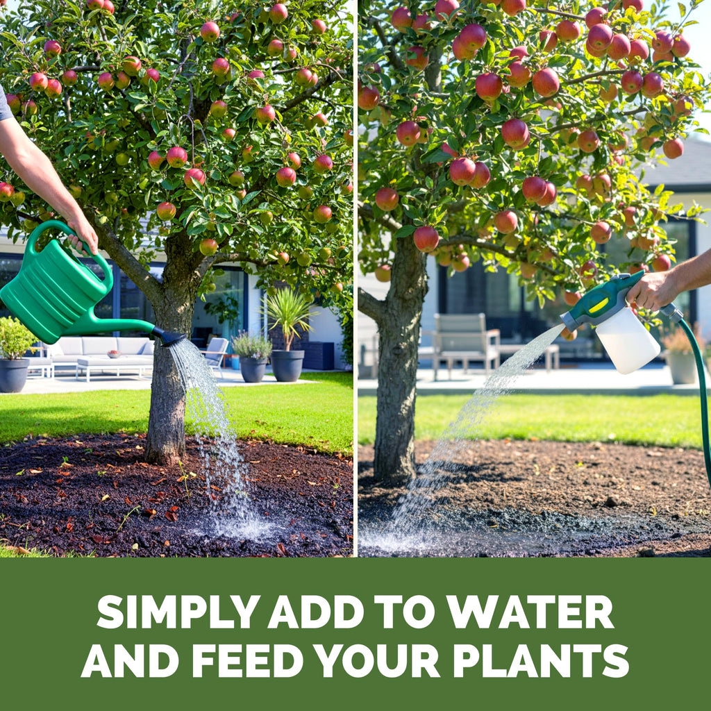 Liquid Plant Food 1 Gallon B3374