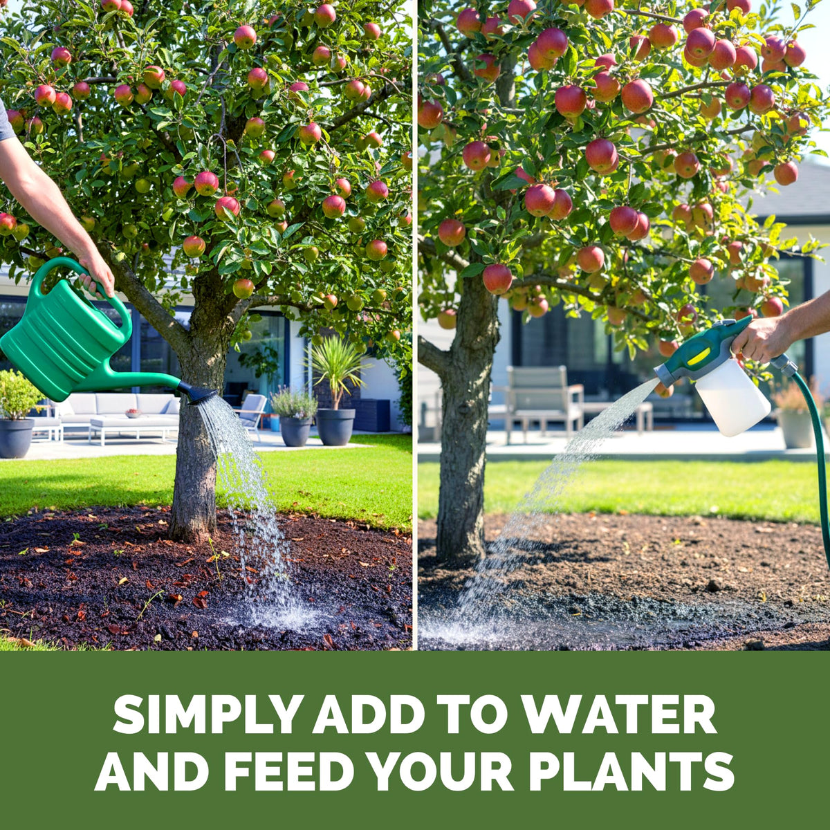 Liquid Plant Food 1 Gallon B3374